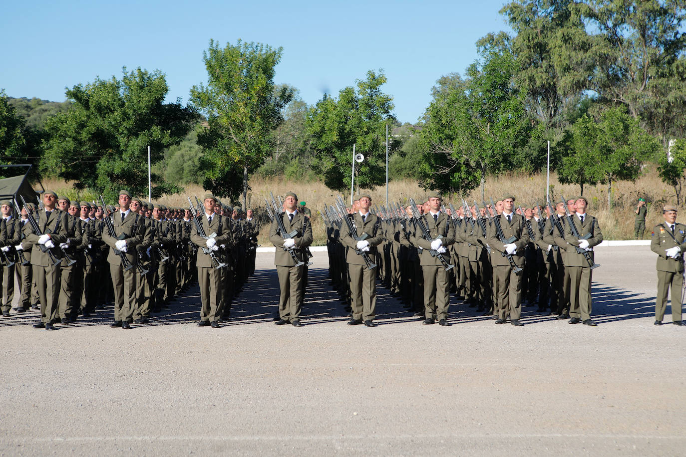 Las mejores imágenes de la jura de bandera en Cáceres I Hoy